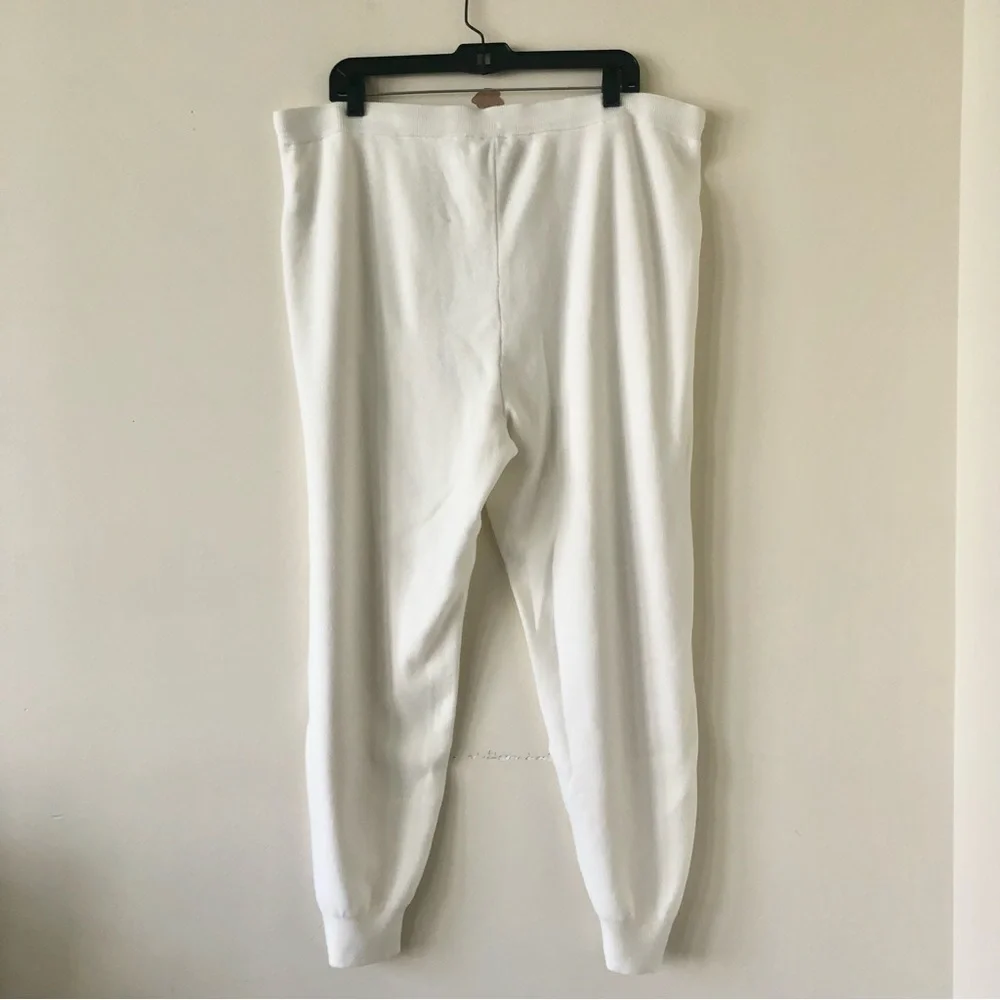 Chico’s Zenergy Cream Colored Super Soft Lounge Pants Joggers Size XLp - Picture 8 of 8
